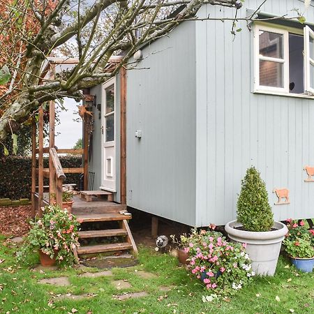 Farmhouse Garden Shepherds Hut Thursley ภายนอก รูปภาพ